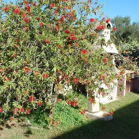 Torre Di Chia Domus De Maria